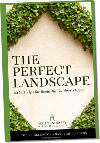 The Perfect Landscape Book